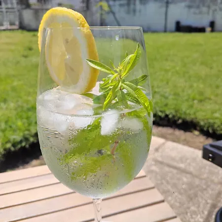 Casa de hóspedes Crals - Casa Do Corgo 3*